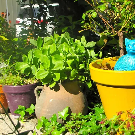 La Voûte De Lapparan Couette-café *