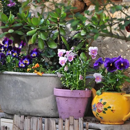 Bed & Breakfast La Voute De Lapparan